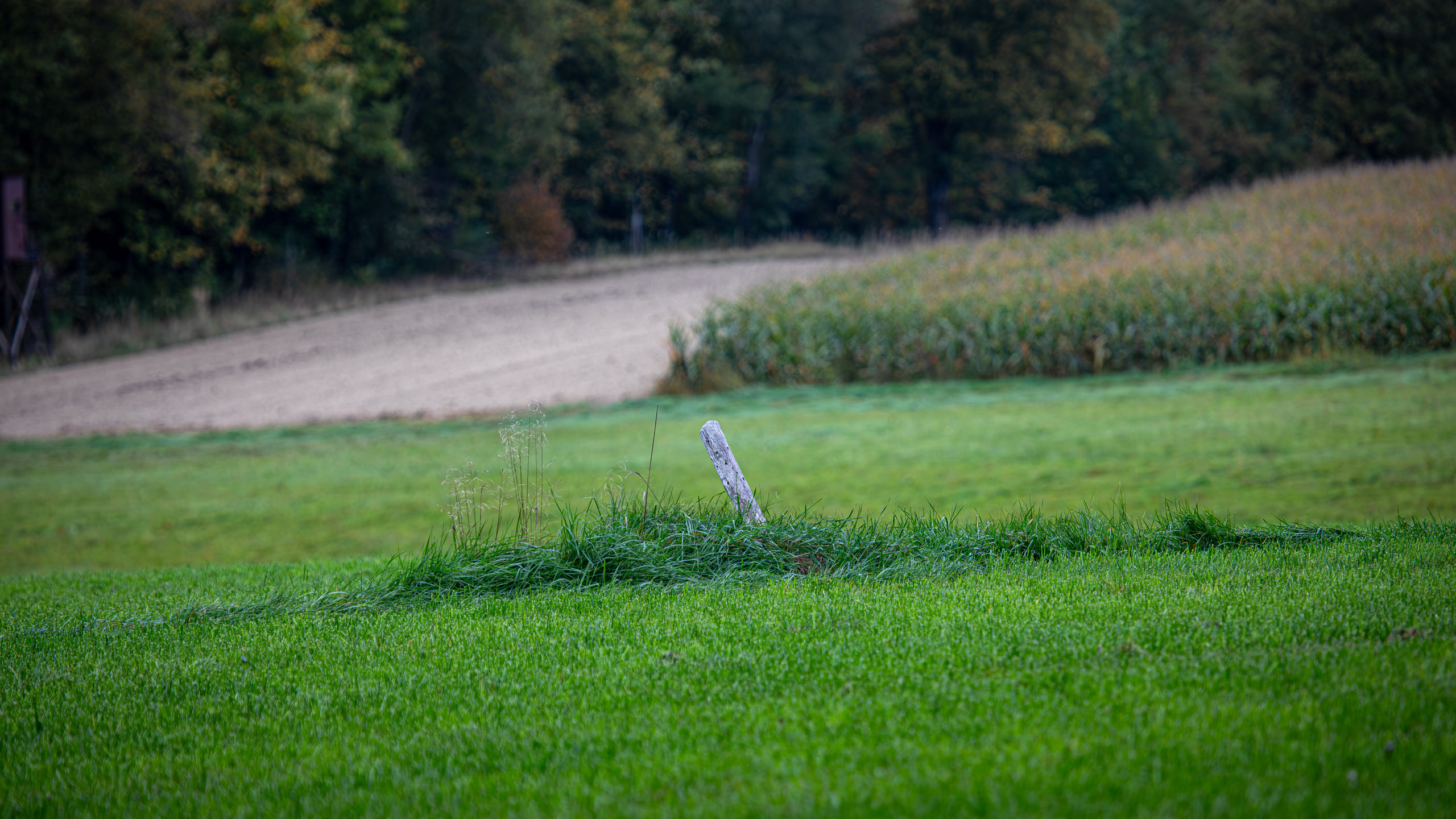 20231014101823 RD4 4661 e